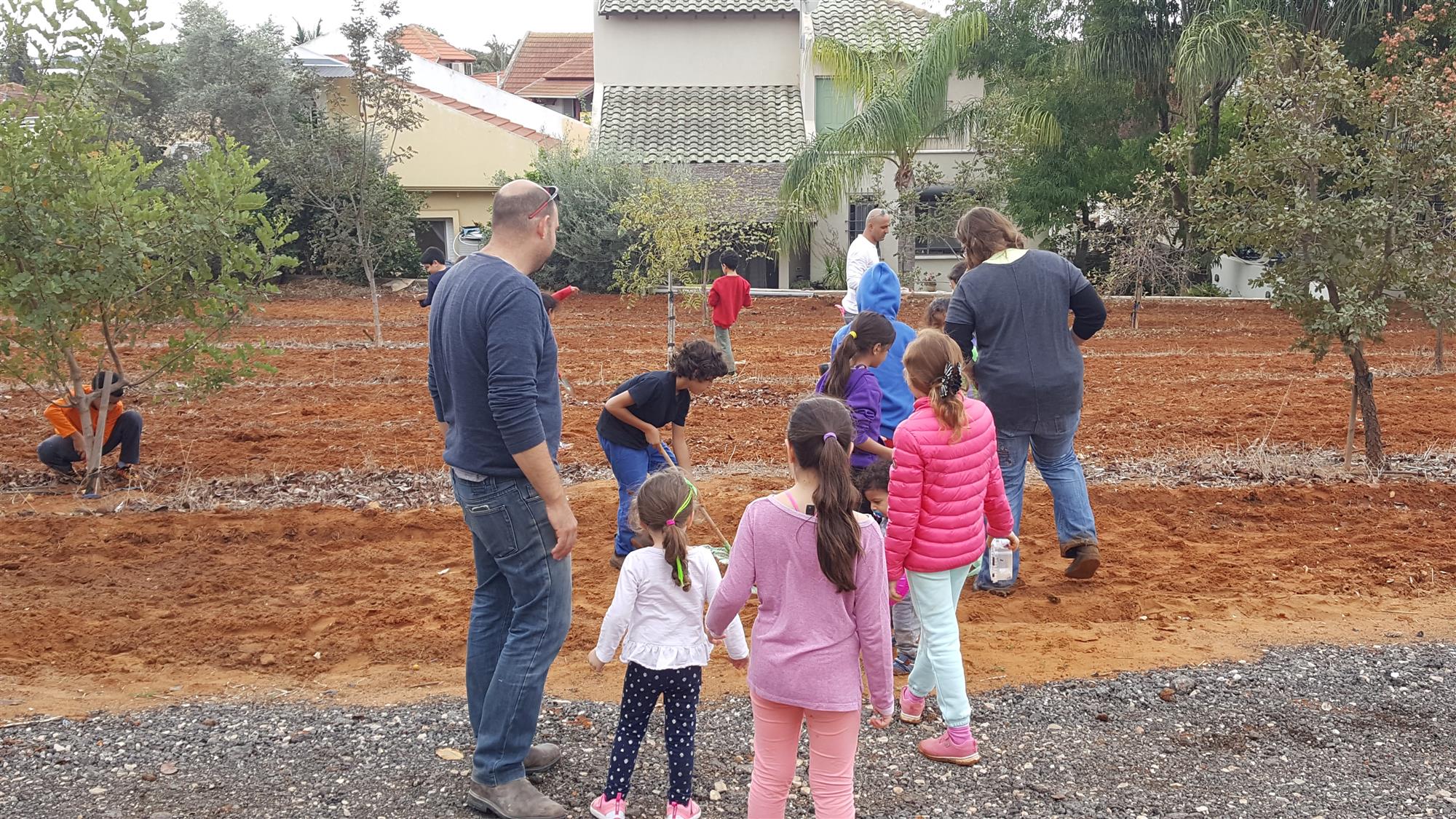 זורעים פרחי אביב